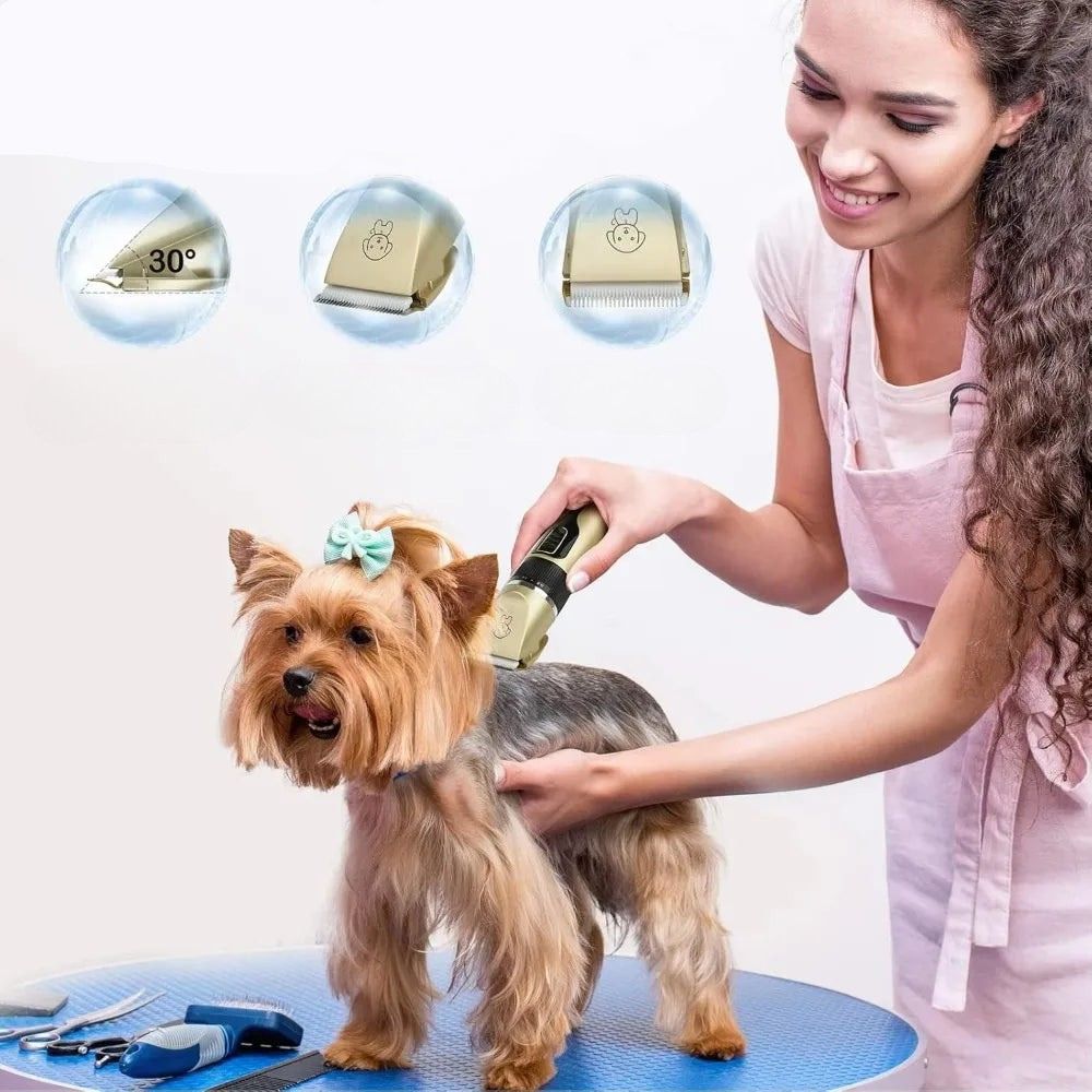 Elektrische Hondentondeuse - Veilige Bladen, Snijdt Zonder Trekken